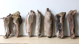 Treibholz Schwemmholz Driftwood 7  Hölzer Terrarium  Dekoration Garten   20  cm - 27  cm  **35**  (TR979)