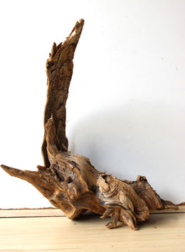 Treibholz Schwemmholz Driftwood 1  Wurzel  Dekoration Terrarium 36 cm hoch  (W624)