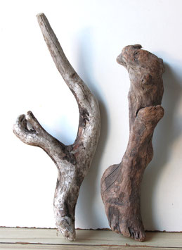 Treibholz Schwemmholz Driftwood 2 knorrige Hölzer Dekoration Garten Terrarium  41-46 cm   **220** (TR1234)