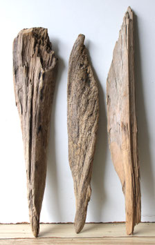 Treibholz Schwemmholz Driftwood  3 Treibhölzer Terrarium Garten  47 cm - 53 cm lang **E47** (TR1189)