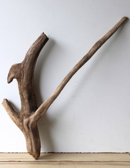 Treibholz Schwemmholz Driftwood 1 XL Wurzel Dekoration Garten Terrarium 67 cm (W708)