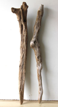 Treibholz Schwemmholz Driftwood  2 XXL Hölzer Dekoration Garten Terrarium 76 cm - 77 cm (TR1284)