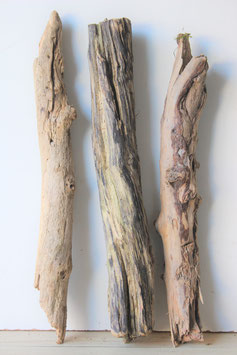 Treibholz Schwemmholz Driftwood  3 XL  Hölzer  59-64  cm lang (TR678)