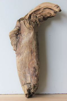 Treibholz Schwemmholz Driftwood  1 XL Rarität (R227)