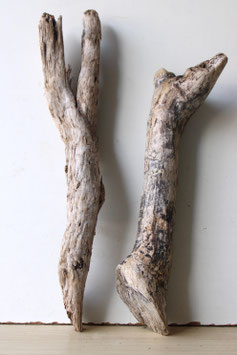 Treibholz Schwemmholz Driftwood  2 XL  Hölzer Terrarium  Dekoration Garten   51  cm - 62  cm  **E19**  (TR976)