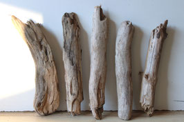 Treibholz Schwemmholz Driftwood 5 Hölzer  Dekoration Terrarium  30 cm - 35  cm (SA934)