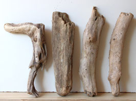 Treibholz Schwemmholz Driftwood 4  Hölzer  Dekoration Garten Garderobe 31 cm - 37cm  **192** (TR1143 )