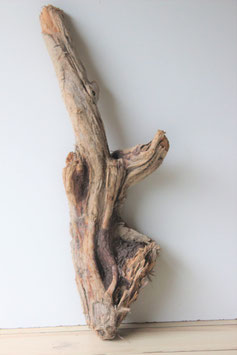 Treibholz Schwemmholz Driftwood  1 XXL Wurzel  92 cm (W365)
