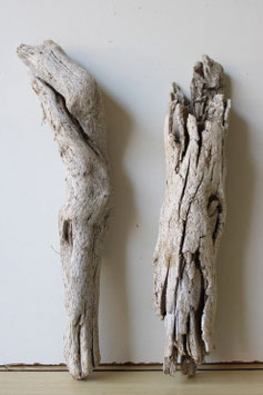Treibholz Schwemmholz Driftwood  2 Hölzer Dekoration Garten Terrarium 36 cm - 38 cm  (TR1097)