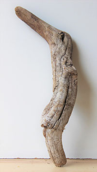 Treibholz Schwemmholz Driftwood 1   Skulptur  50  cm  (S296)