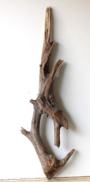 Treibholz Schwemmholz Driftwood  1 XXL  Wurzel 117 cm (W655)