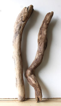 Treibholz Schwemmholz Driftwood 2 XL  Hölzer Dekoration Garten Terrarium  55 cm - 60 cm  (TR1135)