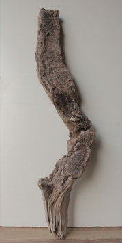 Treibholz Schwemmholz Driftwood   1   XL  Skulptur     ( S188)