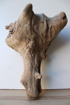 Treibholz Schwemmholz Driftwood  1  knorrige   Skulptur    ( S207)