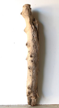 Treibholz Schwemmholz Driftwood 1 knorriger XL  Stamm  Dekoration Garten Terrarium 91 cm  (ST505)