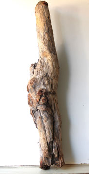 Treibholz Schwemmholz Driftwood 1 MEGA Stamm  Dekoration Garten Terrarium 138 cm  (ST503)