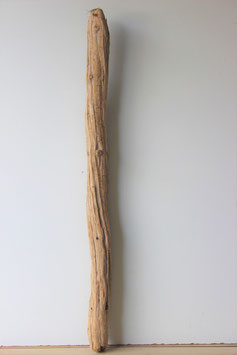 Treibholz Schwemmholz Driftwood  1 XXL Stamm    106  cm   (ST395)