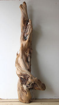 Treibholz Schwemmholz Driftwood 1 MEGA Wurzel Dekoration Garten 146 cm (W720)