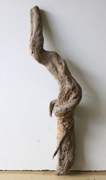 Treibholz Schwemmholz Driftwood  1 XL  Wurzel Dekoration Garten Terrarium  66 cm lang (W729)