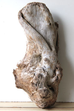 Treibholz Schwemmholz Driftwood  1 XXL Skulptur  Terrarium Garten Dekoration  64 cm  (XXL327)