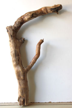 Treibholz Schwemmholz Driftwood  1  XXL  Wurzel Dekoration Garten Terrarium  86 cm lang (W640)