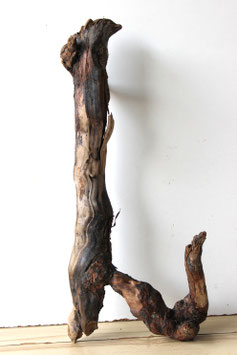 Treibholz Schwemmholz Driftwoood 1  Wurzel Dekoration Terrarium 57 cm (W700)