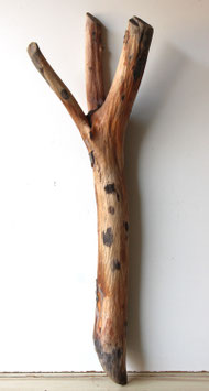 Treibholz Schwemmholz Driftwood  1 XXL Skulptur  114 cm (XXL318)