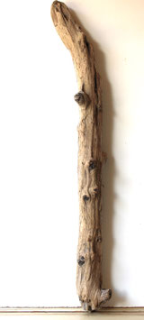 Treibholz Schwemmholz Driftwood 1 XXL  Stamm Dekoration Garten Terrarium 128 cm (ST479)