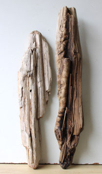 Treibholz Schwemmholz Driftwood  2 XL Hölzer Dekoration Garten Terrarium Aquarium  56 - 66 cm (TR1016)