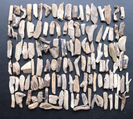Treibholz Schwemmholz Driftwood  120 Minis  Dekoration Garten Terrarium 3 cm - 7 cm **104** (M369)