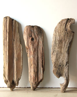Treibholz Schwemmholz Driftwood 3 knorrige   Hölzer Dekoration Garten  Terrarium 38 cm - 43 cm **E77** (TR1268)
