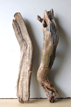 Treibholz Schwemmholz Driftwood 2 XL   Hölzer Terrarium  Dekoration Garten  54  cm - 55  cm    (TR987)