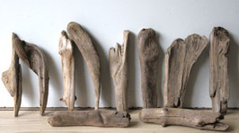 Treibholz Schwemmholz Driftwood  10 Hölzer Dekoration Garten  Terrarium 24 cm- 28  cm **62** (TR955)