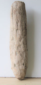 Treibholz Schwemmholz Driftwood  1  XL   Stamm  72   cm  (ST388)