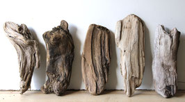 Treibholz Schwemmholz Driftwood  5 knorrige   Hölzer Dekoration Garten Terrarium 27 cm - 31 cm  **54** (TR1282)