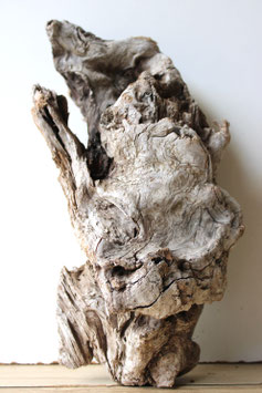 Treibholz Schwemmholz Driftwood  1 knorrige  Wurzel  Dekoration Garten Terrarium  38 cm (W685)