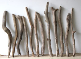 Treibholz Schwemmholz Driftwood 12   Äste   Dekoration Garten  46 cm - 60  cm (Ä1711)