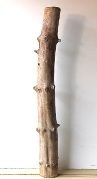 Treibholz Schwemmholz Driftwood  1 MEGA Stamm Dekoration Garten Terrarium Ostern Lampenbau 130 cm (ST514)