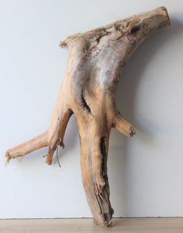 Treibholz Schwemmholz Driftwood 1 XXL Skulptur   84cm  (XXL190)
