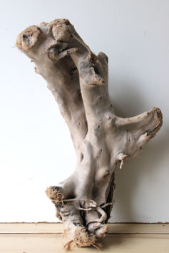 Treibholz Schwemmholz Driftwood 1  knorrige XXL  Wurzel Dekoration Garten Terrarium 57 cm (W715)