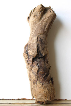 Treibholz Schwemmholz Driftwood 1 knorrige Skulptur  Dekoration Garderobe Terrarium 27 cm (SA827)