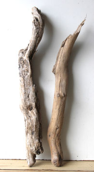 Treibholz Schwemmholz Driftwood  2 XL Hölzer Dekoration Garten  Terrarium  Ostern 59 cm - 67 cm (TR1243)