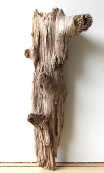 Treibholz Schwemmholz Driftwood  1 knorrige   Skulptur  Dekoration Garten Terrarium  56 cm  (SA802)