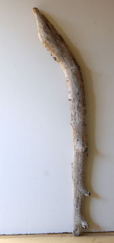 Treibholz Schwemmholz Driftwood 1 XXL Ast  Dekoration Garderobe Terrarium 113 cm (SA920)