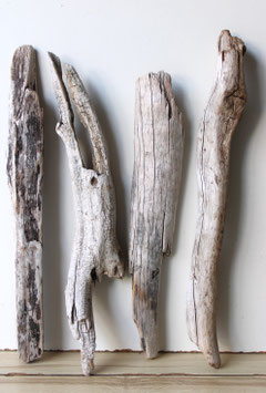 Treibholz Schwemmholz Driftwood  4 Xl Hölzer Dekoration Garten Terrarium 47 cm - 53 cm lang (TR1199)