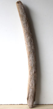 Treibholz Schwemmholz Driftwood  1 dicker Ast  Terrarium Garten Dekoration Terrarium  80 cm  (SA883)
