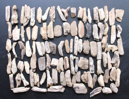Treibholz Schwemmholz Driftwood 100 Minis  Dekoration Garten Terrarium 4 cm - 8 cm **205** (M408)