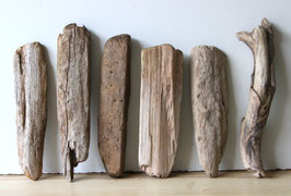 Treibholz Schwemmholz Driftwood 6 Hölzer Dekoration Garten Terrarium 29 cm - 35 cm  **E159** (TR1290)
