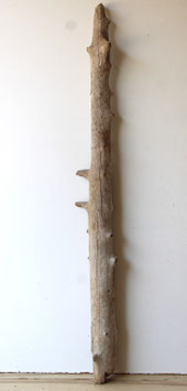 Treibholz Schwemmholz Driftwood 1 XL Stamm Dekoration Garten Terrarium 113 cm (ST477)