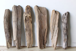 Treibholz Schwemmholz Driftwood 6 Hölzer Dekoration Garten Terrarium 28 cm - 34 cm lang **225** (TR1205)